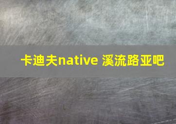 卡迪夫native 溪流路亚吧